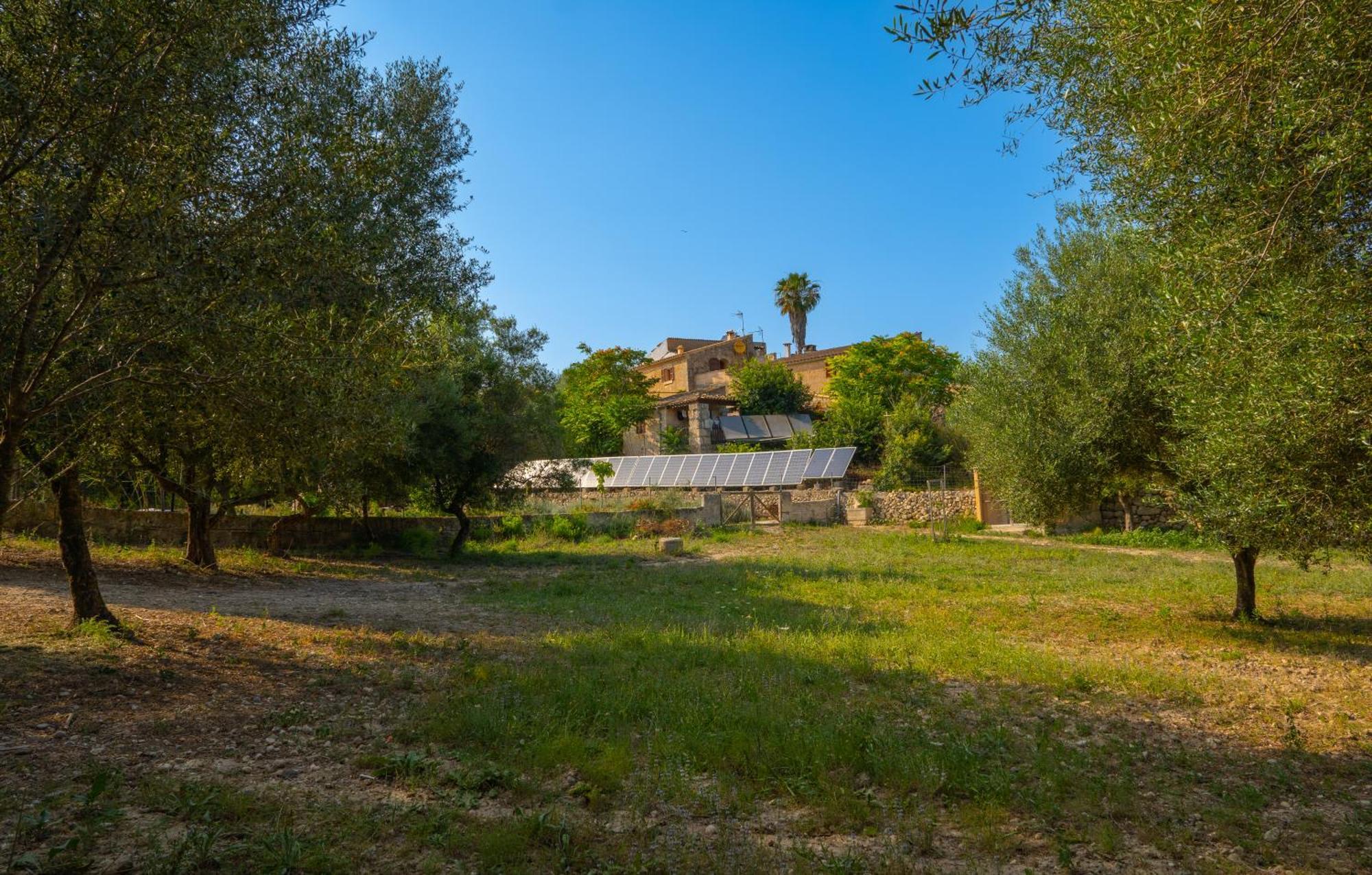 Ses Cases D'alcudiola Apartment Santa Margalida